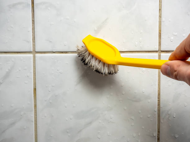 Best Certified Mold Removal  in Shady Hills, FL