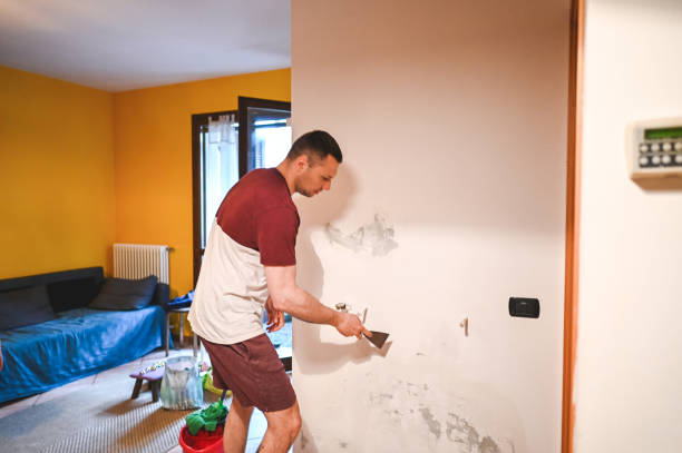 Best Mold Testing  in Shady Hills, FL